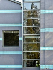 DSC_2794