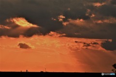 DSC_4981