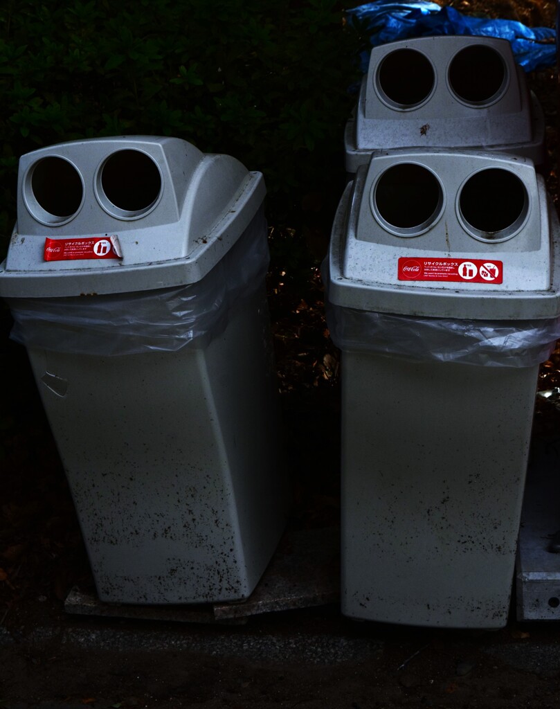 見られています