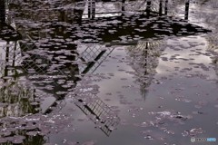 DSC_6494「水面」