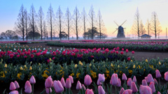 あけぼの山公園