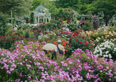 薔薇園にて