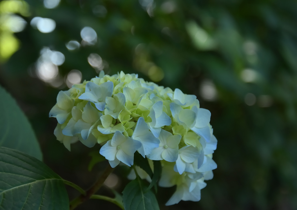 DSC_0405