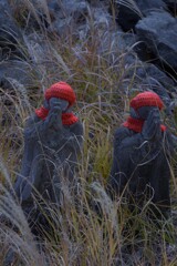 寒い日がやって来る