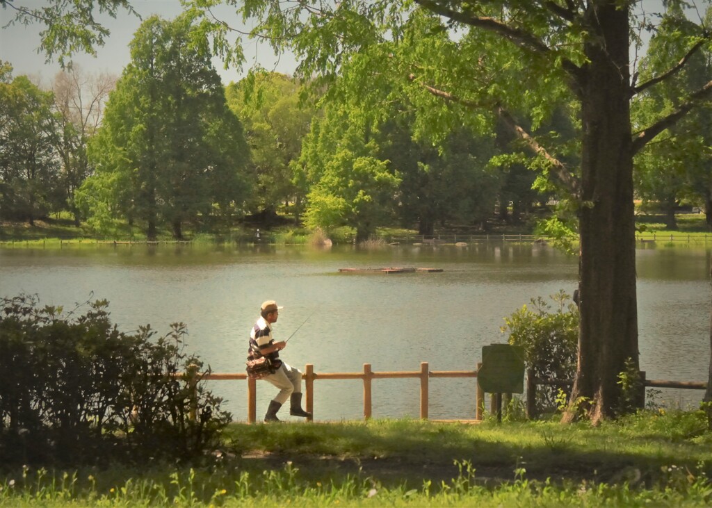 夏の様な陽差し