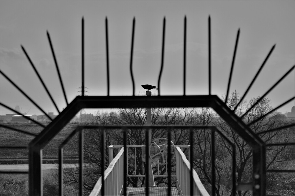 DSC_4570