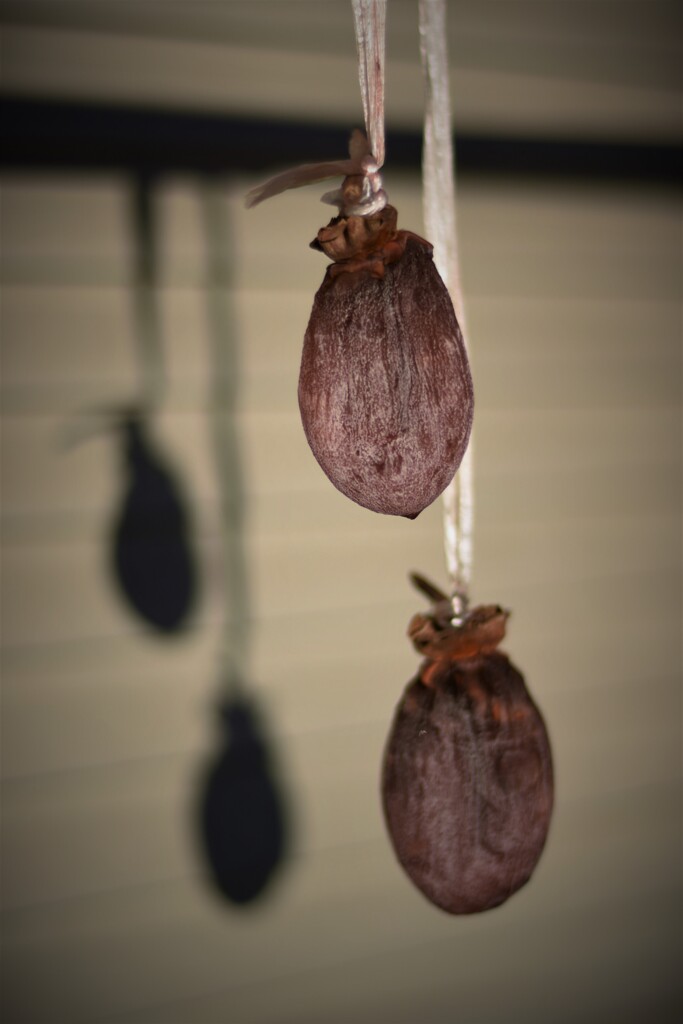 干し柿を作ってみた