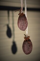 干し柿を作ってみた