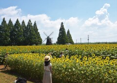 あけぼの山公園