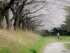 DSCN5624