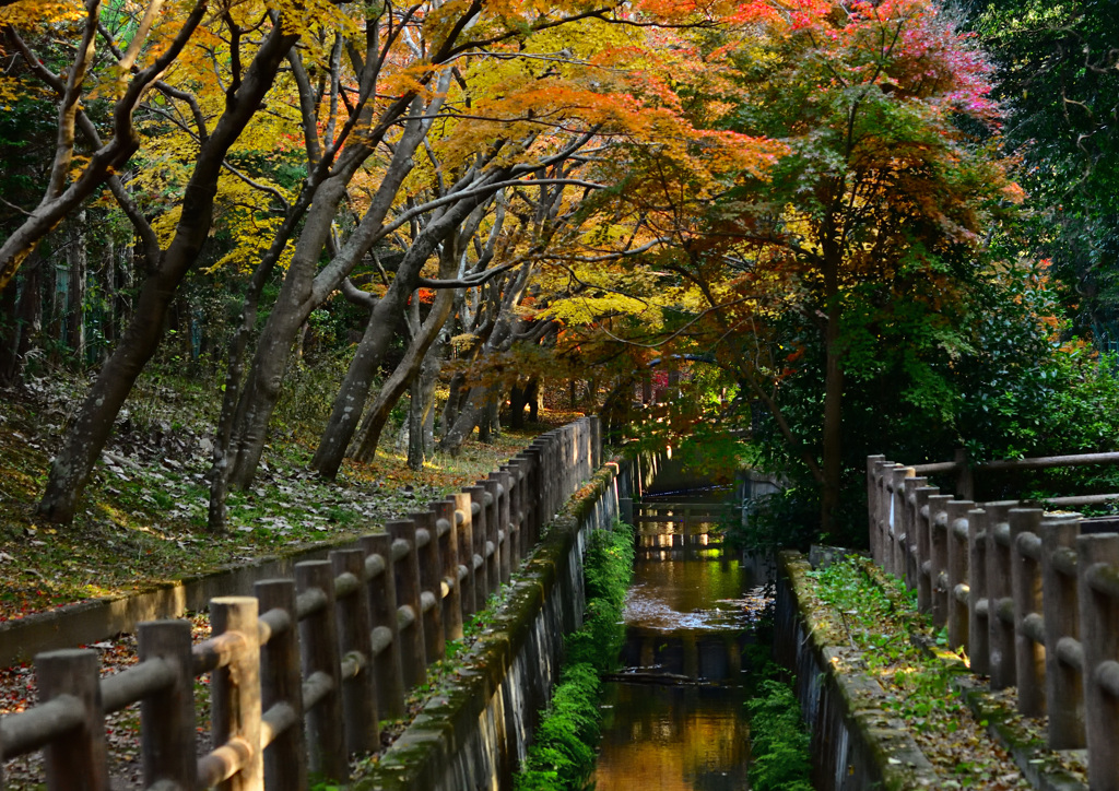 水路