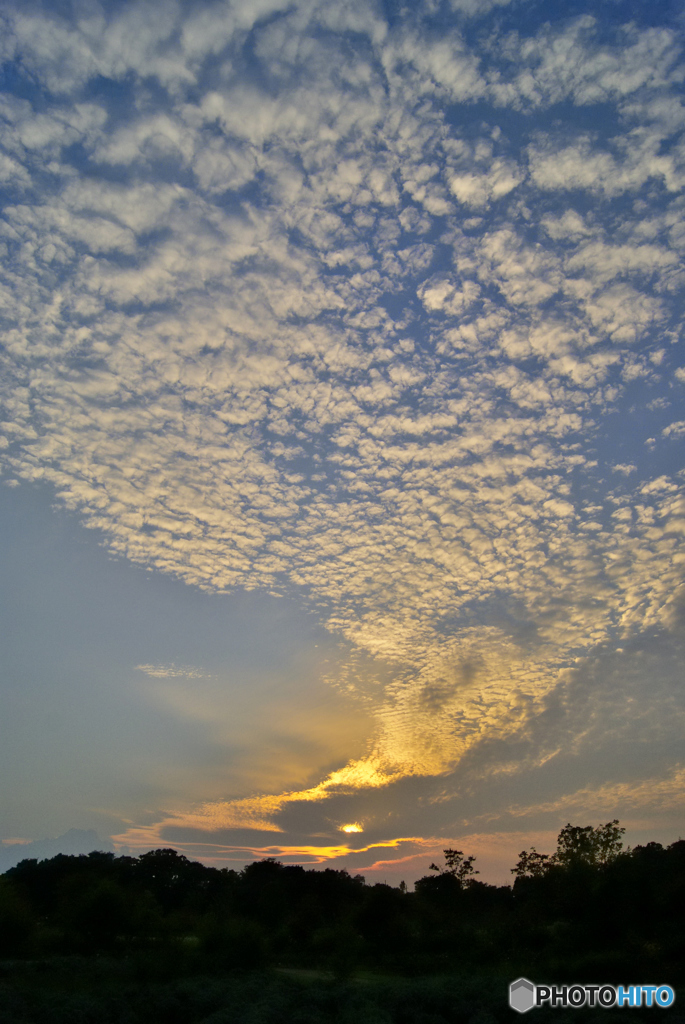 _DSC3813「夕刻」