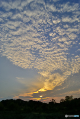 _DSC3813「夕刻」