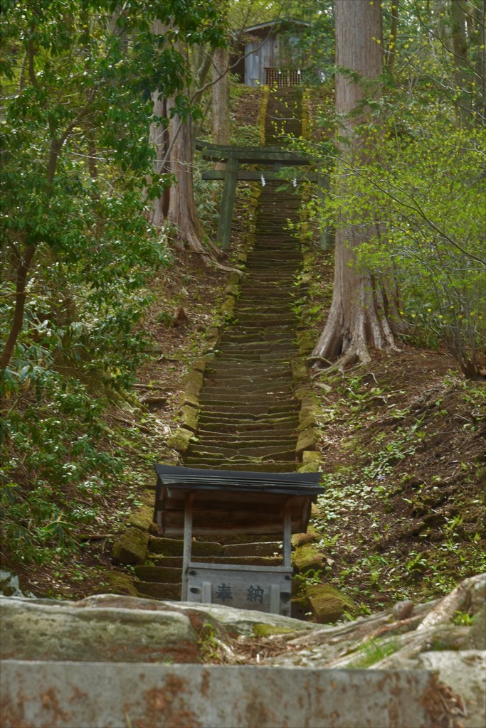 長～い階段