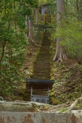 長～い階段