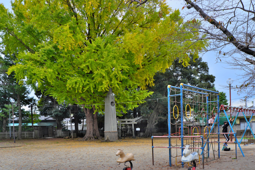 公園