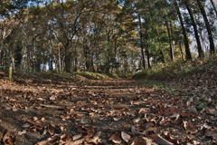 道