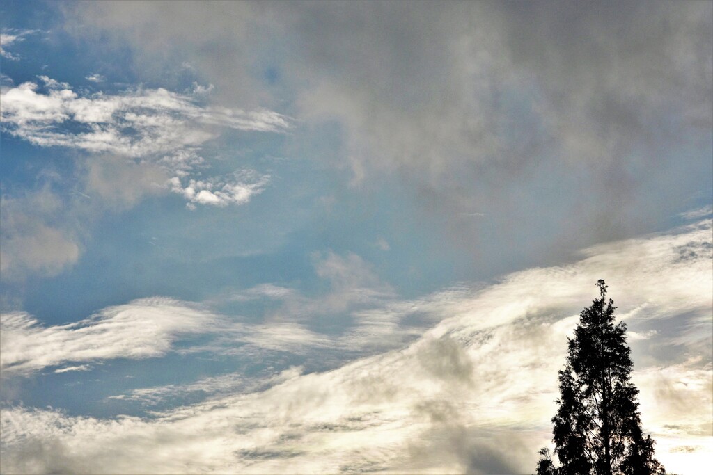 DSC_1938 