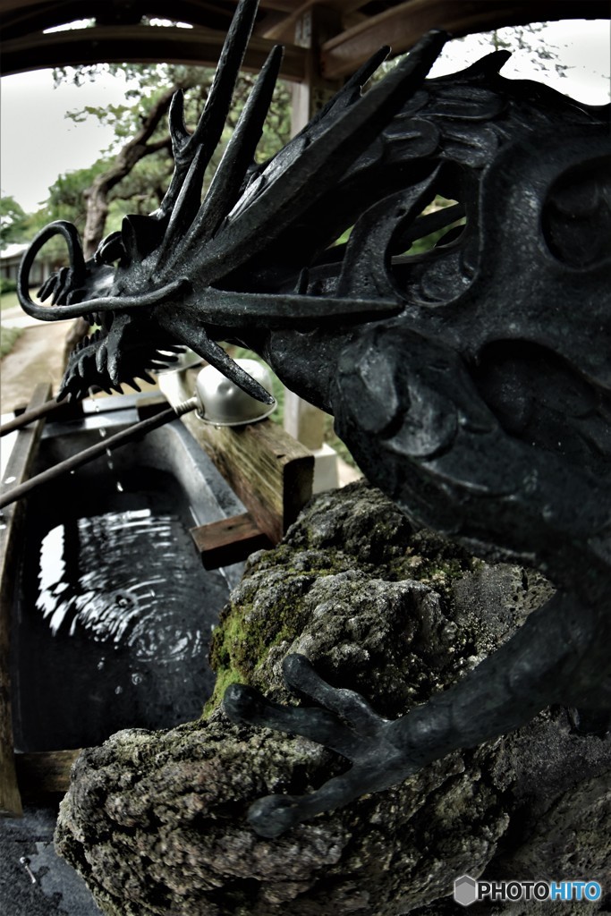 DSC_8357「エイリアン」