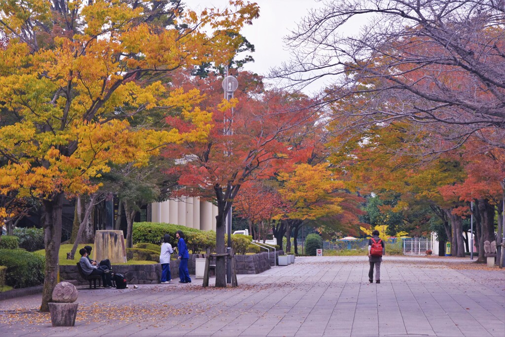 DSC_2888 