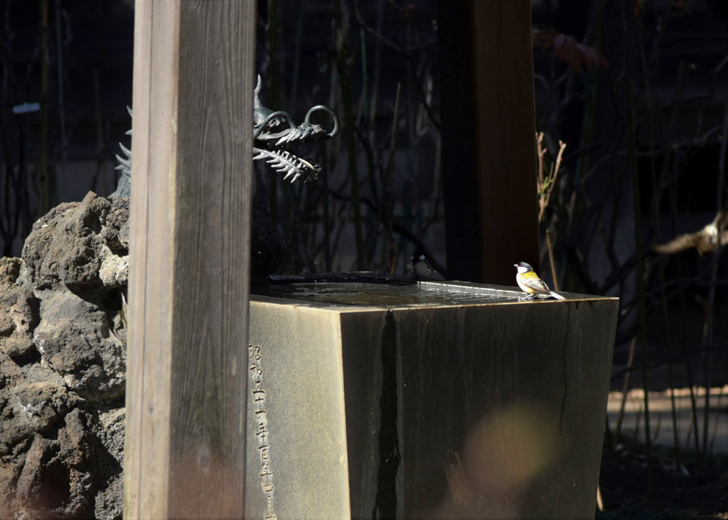 水飲ませてくださ～い