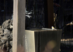 水飲ませてくださ～い