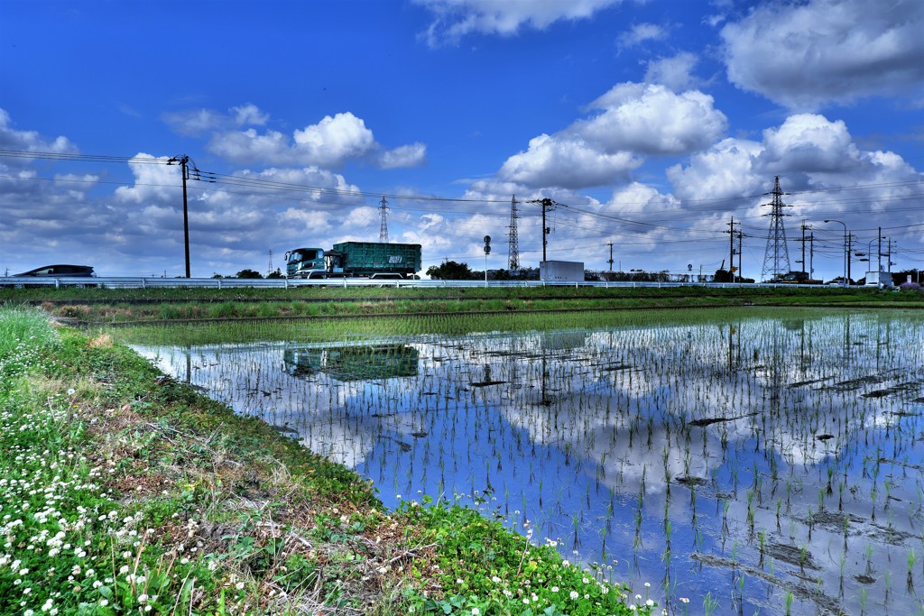 雲