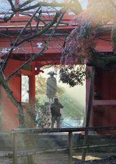 DSC_8406