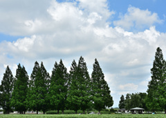 DSC_8286