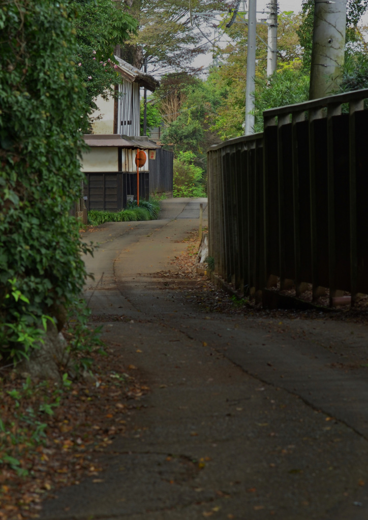 ミラーが有る風景