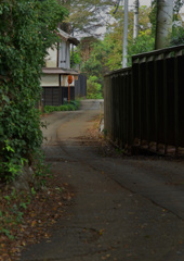 ミラーが有る風景