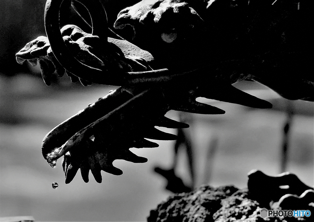 手水舎の龍神様