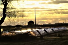 あけぼの山公園