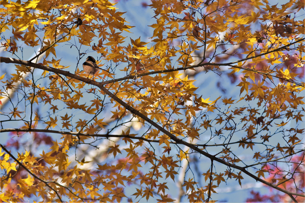 後ろからゴメン