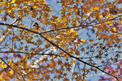 後ろからゴメン