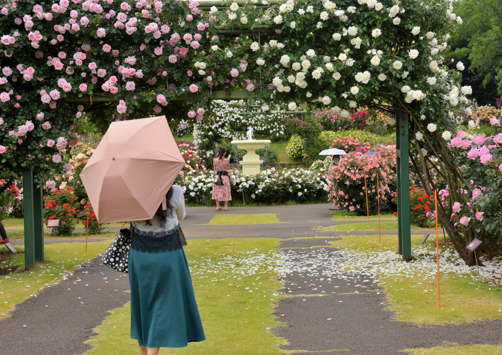 日傘