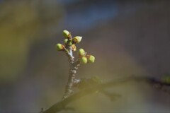 DSC_3056 DSC_3056