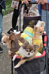 沢山います。＾＾