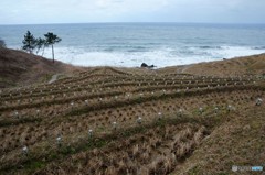 暗くなるまで・・待てない