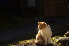 警戒されました