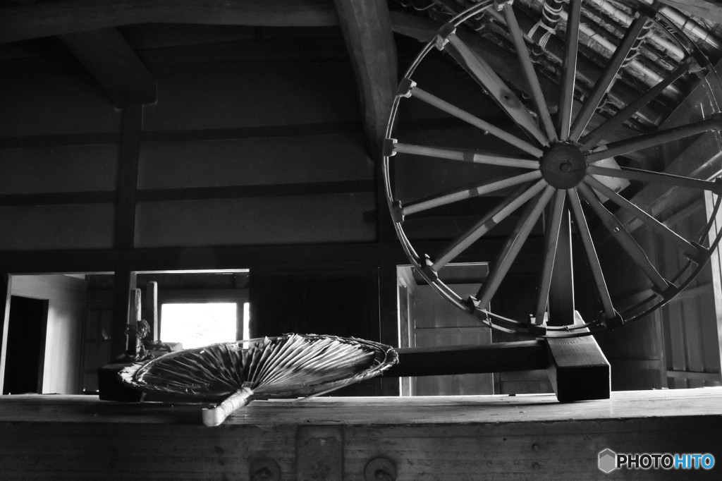 DSC_5360「うちわ」