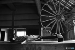 DSC_5360「うちわ」