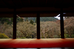 西明寺