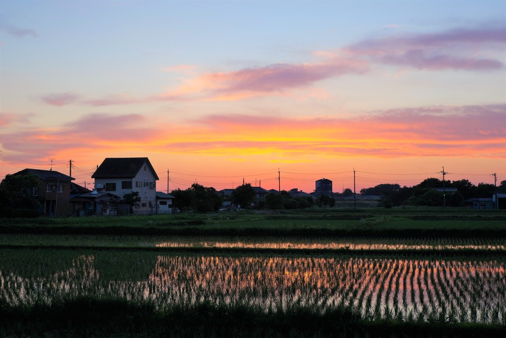 夕焼け空