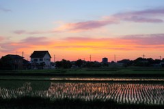 夕焼け空