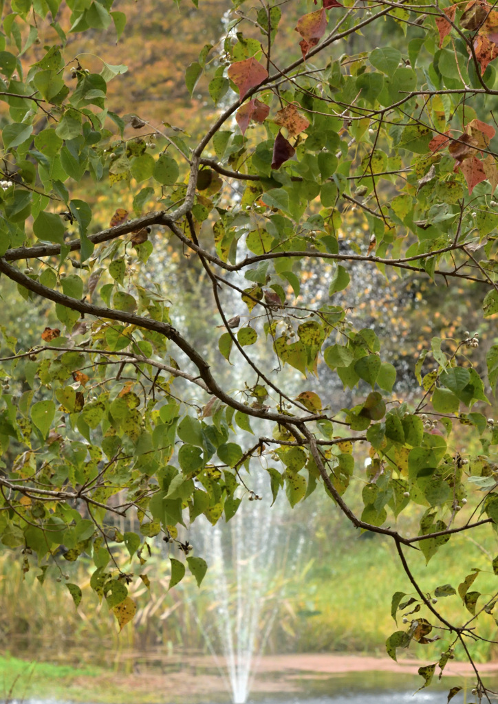 秋の噴水