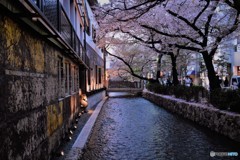 京都祇園　DSC_0303