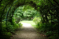 DSCF3828