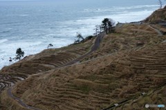 能登珠洲の棚田