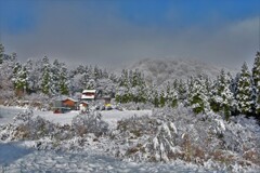 DSC_0835